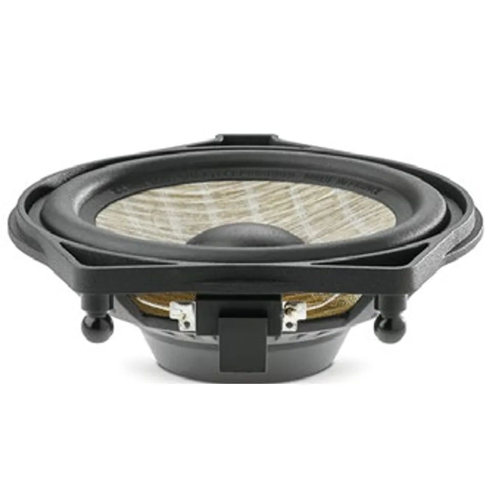 Focal ICC MBZ 100 CENTER