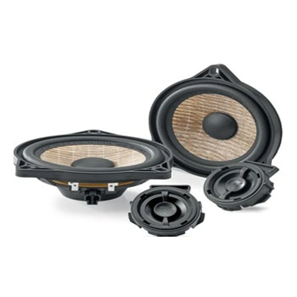 Focal IS T3Y 100