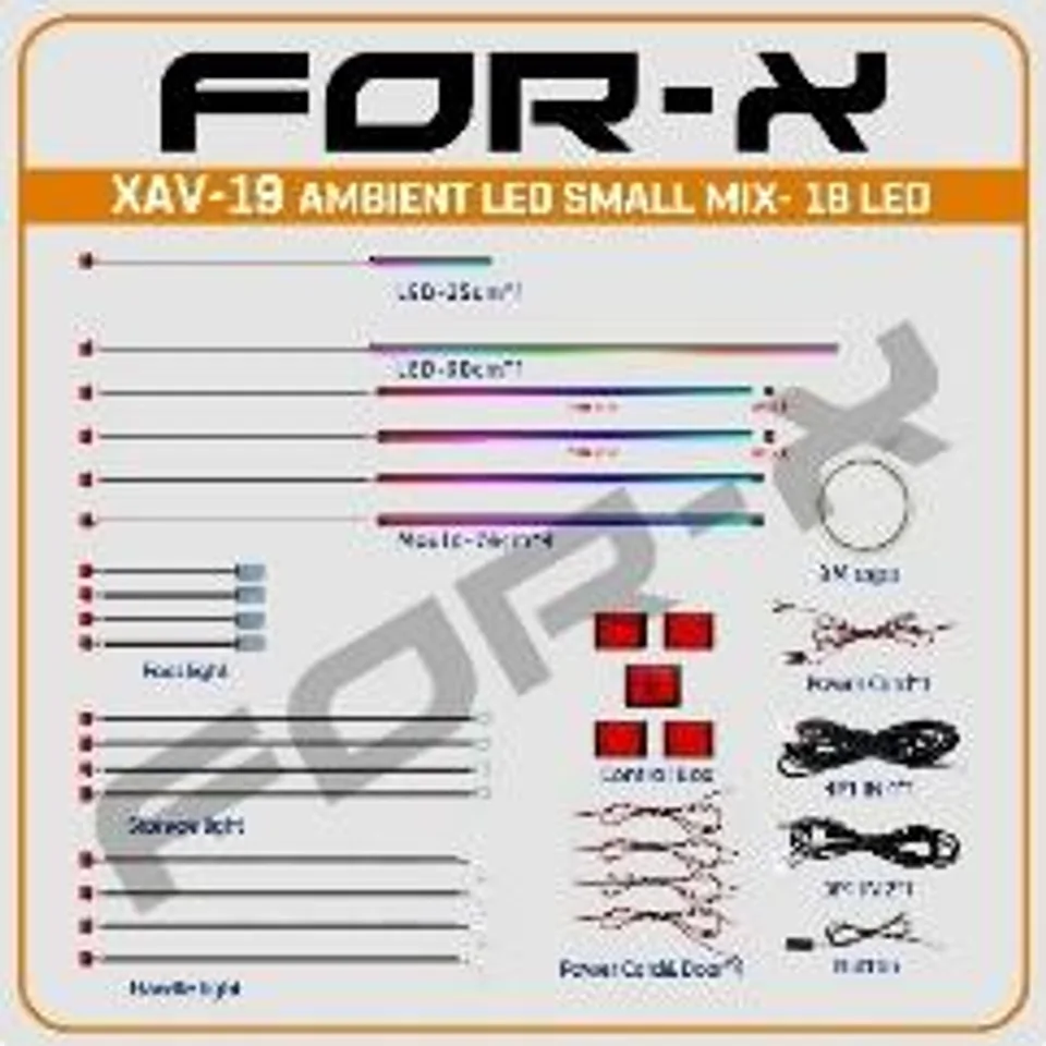 For-X XAV-19