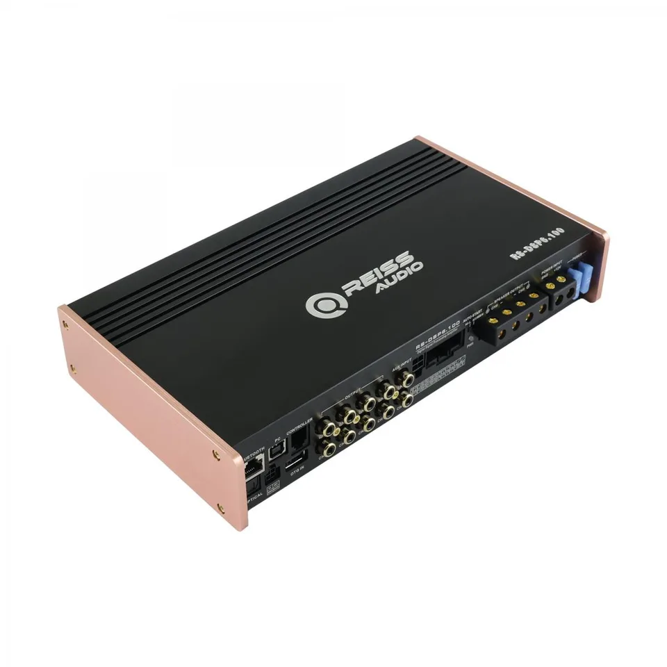 Reiss Audio RS-DSP6.100